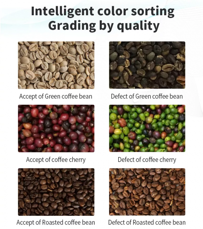 Chine Sécurité alimentaire personnalisée Sortisseur optique de couleurs CCD Machine de tri des couleurs pour les grains de café 2