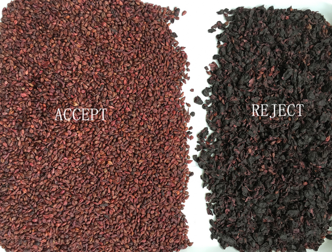 320 canaux CCD optique tri des couleurs machine de tri des couleurs de raisin avec certification CE 2