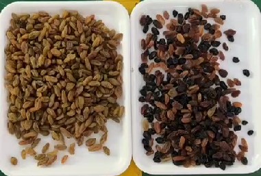 320 canaux CCD optique tri des couleurs machine de tri des couleurs de raisin avec certification CE 3