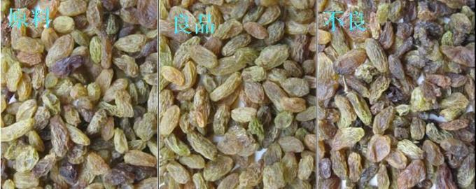 320 canaux CCD optique tri des couleurs machine de tri des couleurs de raisin avec certification CE 4