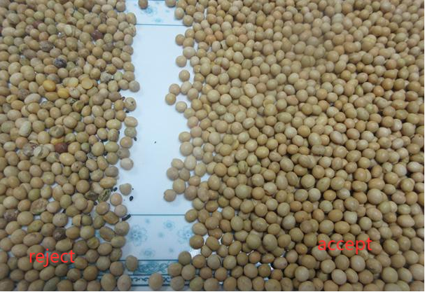 Séparateur de couleurs intelligent CCD Caméra Céréales riz Soya Sorteur de couleurs pour l'agriculture 4