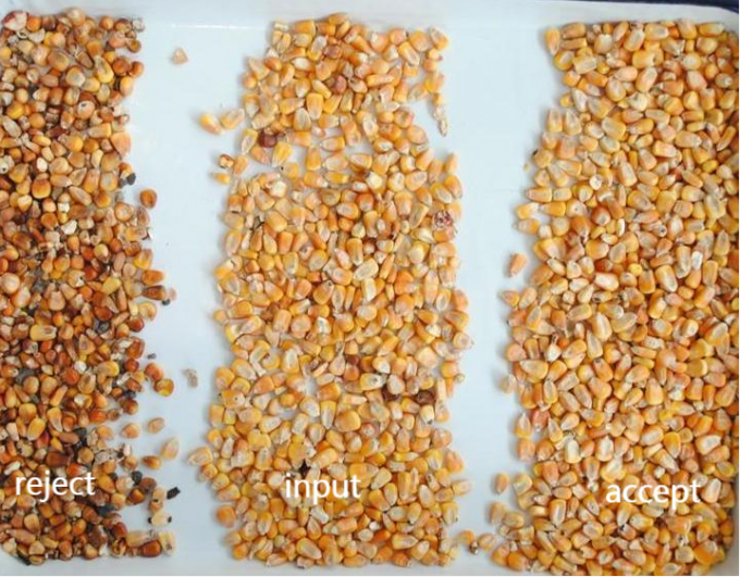 Sortie de couleurs optiques intelligentes à haute performance machine de tri des couleurs de maïs 7