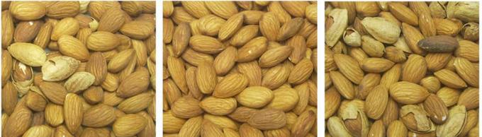 Machine de tri des couleurs de noix de pistache 13