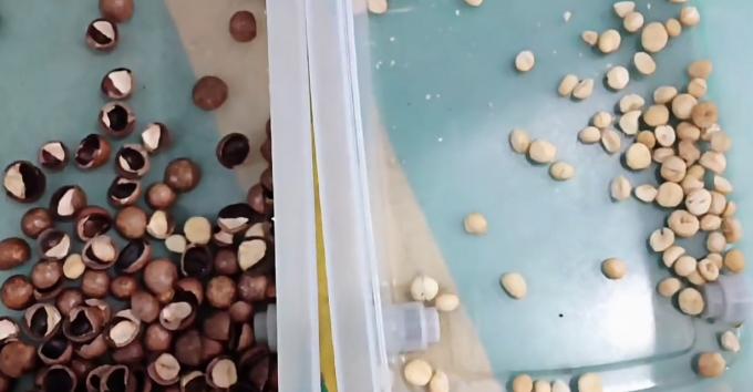 Machine de tri des couleurs de noix de pistache 14