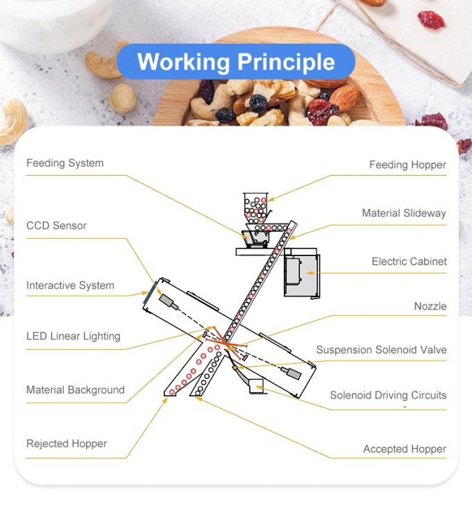 Machine de tri en couleur de noix de cajou à 6 chute intelligente avec capteur Toshiba CCD et caméra RVB 4
