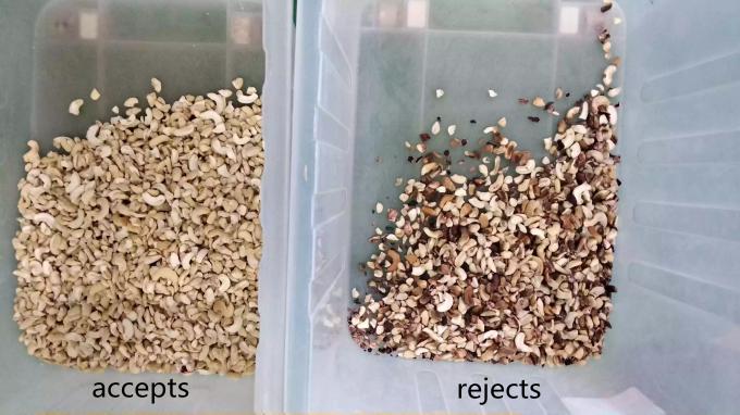 Machine de tri en couleur de noix de cajou à 6 chute intelligente avec capteur Toshiba CCD et caméra RVB 6