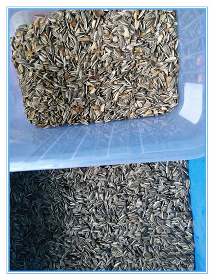 Wenyao Le plus récent certificat optique de la CE Les graines de citrouille Les graines de pastèque La machine de tri des couleurs 10