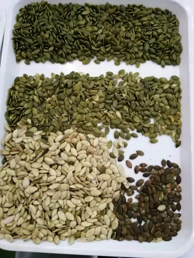 Wenyao Le plus récent certificat optique de la CE Les graines de citrouille Les graines de pastèque La machine de tri des couleurs 11