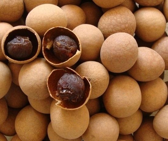 Wenyao Fruits secs à haut rendement Machine de tri optique Prunes de pêche séchées Figues Sorteur de couleur pour l'industrie de transformation des fruits 8