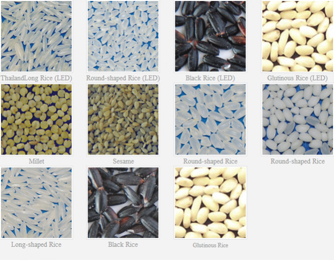 Vente directe de Wenyao Intelligent Factory Machine à trier les couleurs des haricots et des arachides 9