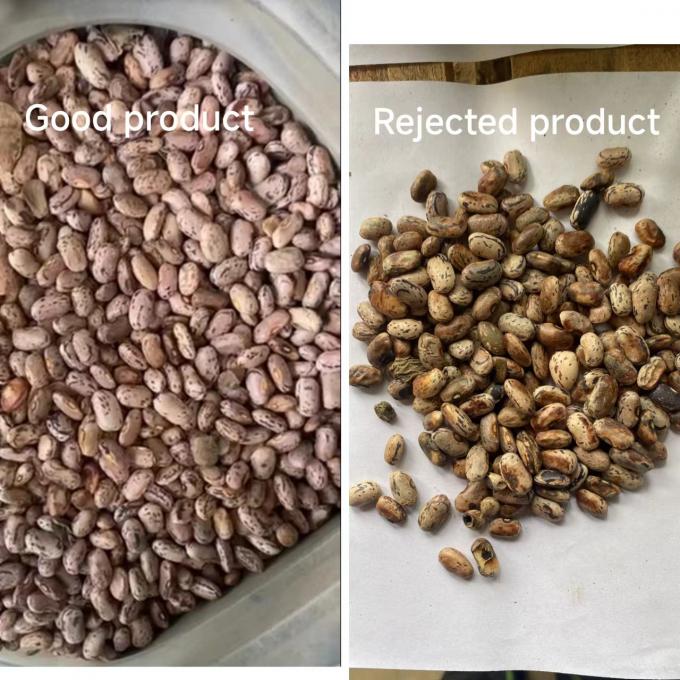 Vente directe de Wenyao Intelligent Factory Machine à trier les couleurs des haricots et des arachides 10