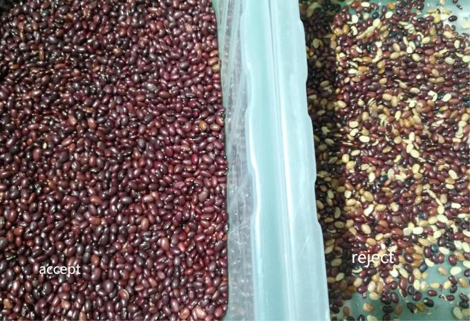 Machine de tri optique de couleurs à haute précision 10