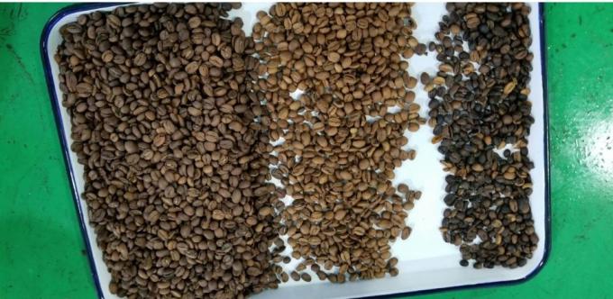 Vente directe de Wenyao Intelligent Factory Machine à trier les couleurs des haricots et des arachides 13