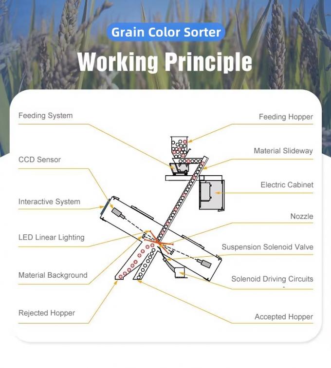 Wenyao usine chinoise 7 chute style haute technologie grain sésame machine de tri des couleurs 3