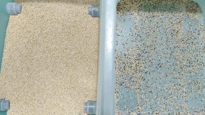 Wenyao usine chinoise 7 chute style haute technologie grain sésame machine de tri des couleurs 4