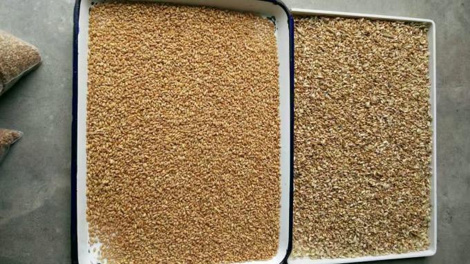 Wenyao 2025 Vente chaude de graines de tri entièrement automatique Graines de chia Graines de lin Color Sorting Machine 11