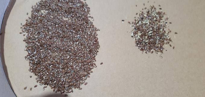 Wenyao 2025 Vente chaude de graines de tri entièrement automatique Graines de chia Graines de lin Color Sorting Machine 13