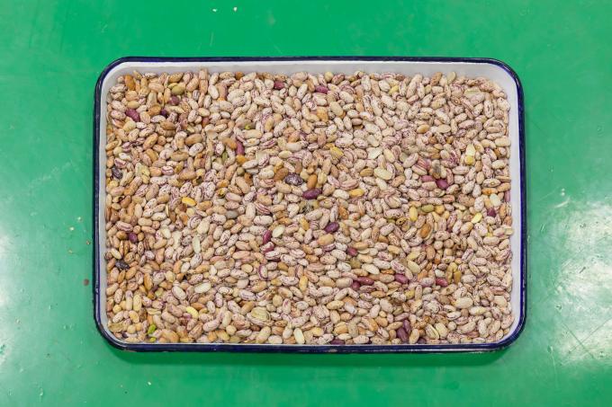 Wenyao La plus récente machine à trier les couleurs à commande à distance 4