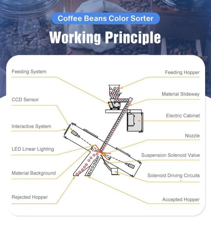 Machine de tri en couleur de grains de café vert et torréfiés 3