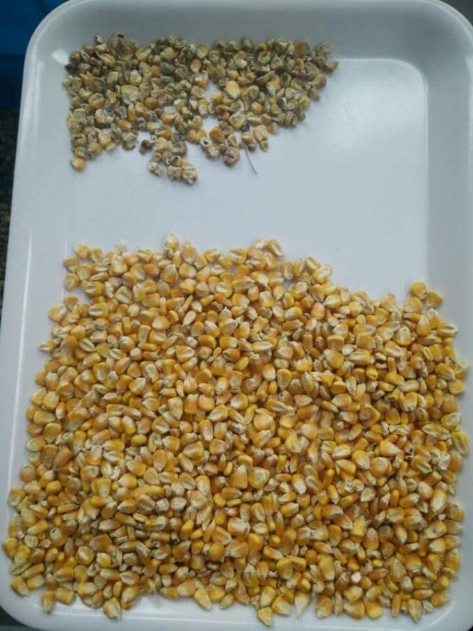 Sortie de couleurs optiques intelligentes à haute performance machine de tri des couleurs de maïs 9