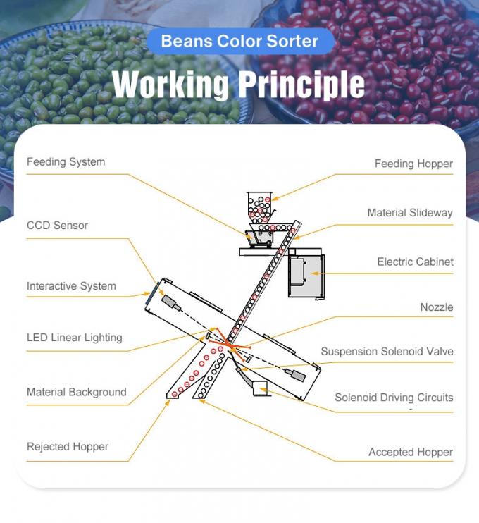 Wenyao Chine Prix d'usine entièrement automatique haricots rouges Rinoirs haricots machine de tri de couleur 3