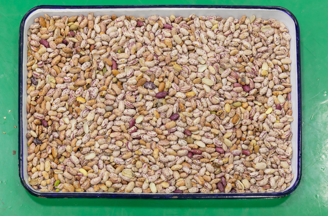 Machine de tri couleur Wenyao entièrement automatique à 3 goulottes pour soja, haricots larges et haricots rouges 4