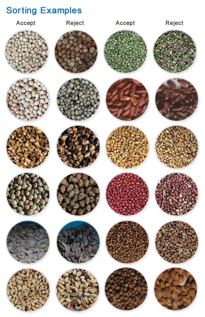 Sortisseur optique de couleurs de ma&iuml;s de ma&iuml;s de seigle de quinoa 1