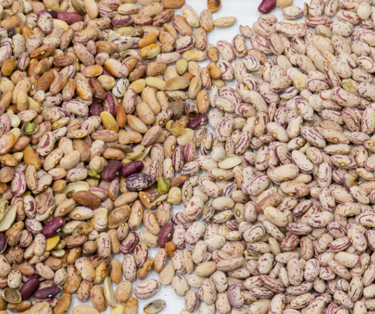 Machine de tri optique de couleurs à haute précision 11