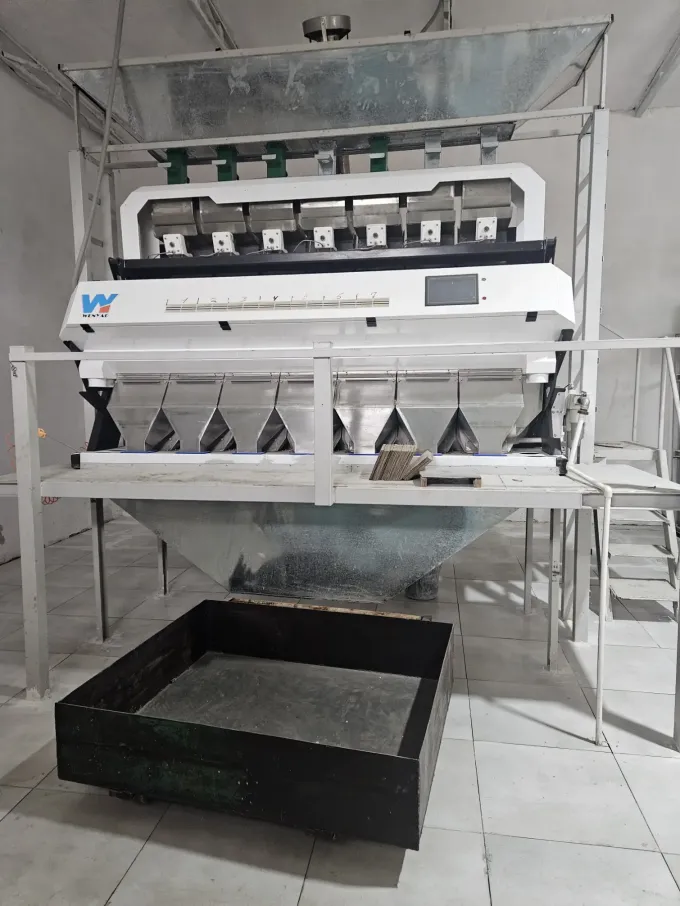 Wenyao Machine automatique et efficace de tri des flocons de plastique et des granulés de plastique 5