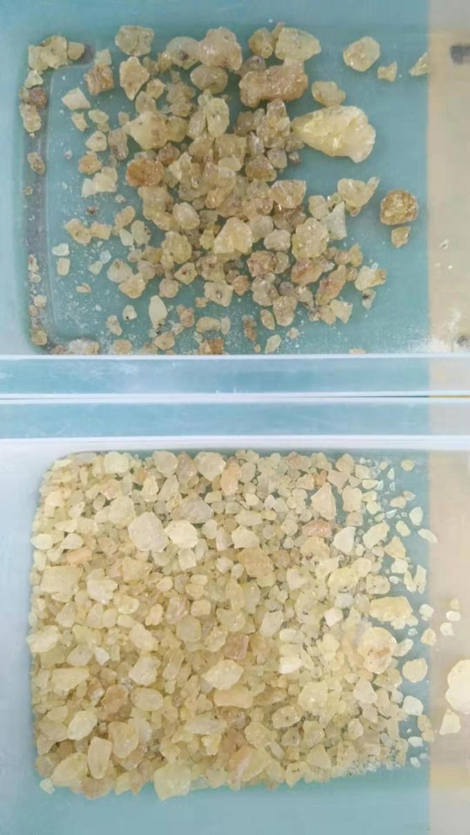 Séparateur de couleurs de grains de gomme de pêche à haute précision à 2 canaux 1