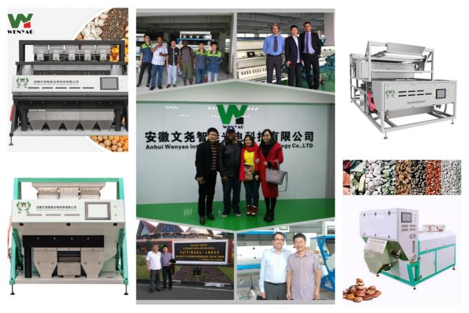 Séparateur de couleurs de grains de gomme de pêche à haute précision à 2 canaux 18