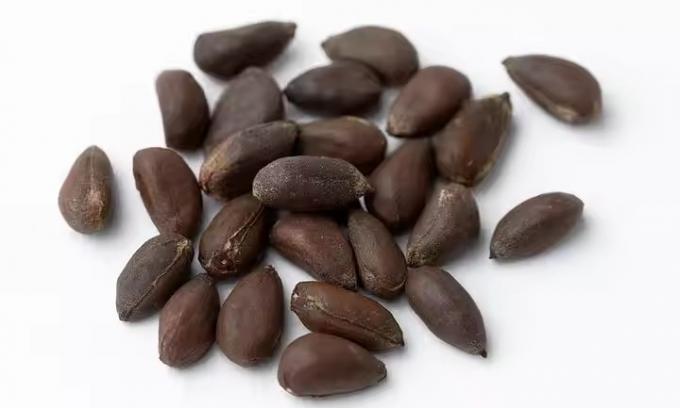 Wenyao Professional Optique S&eacute;same Color Sortir Les graines de coton Color Sortir La machine de tri Prix 11