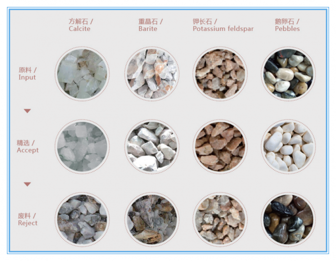 Trieuse pondérale à courroie de 1200MM pour céréales, riz et minerais avec une précision de 99,99% 2