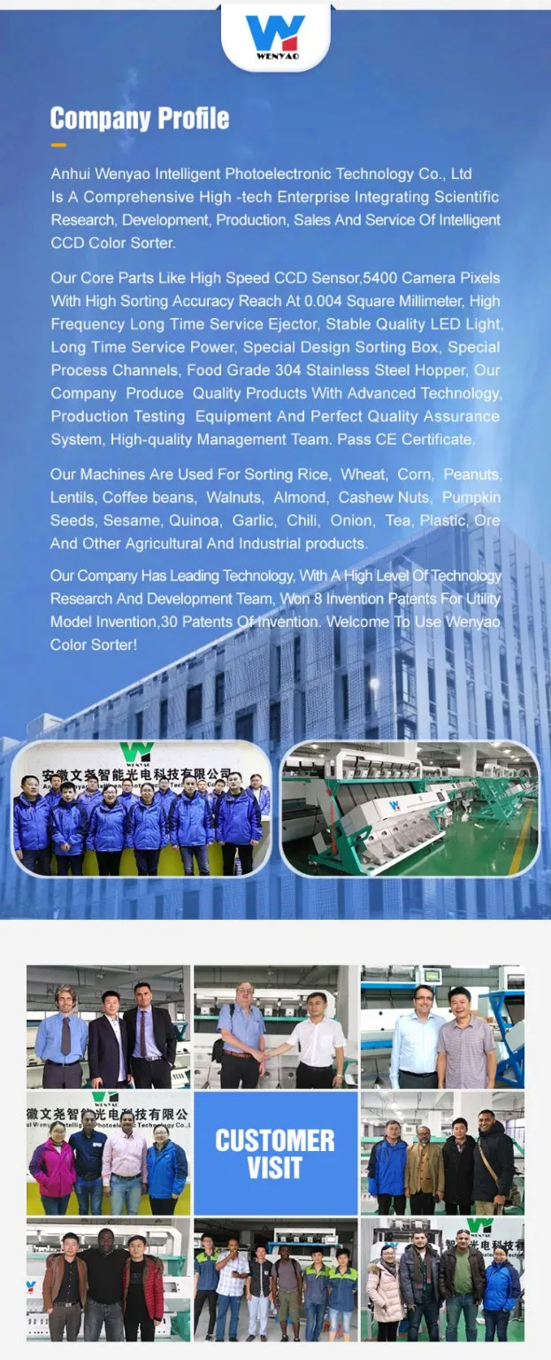 Trieur de couleurs de soja, machine de sélection de pulsations, équipement de nettoyage de graines de haricots verts, de graines de Sohum noires 3