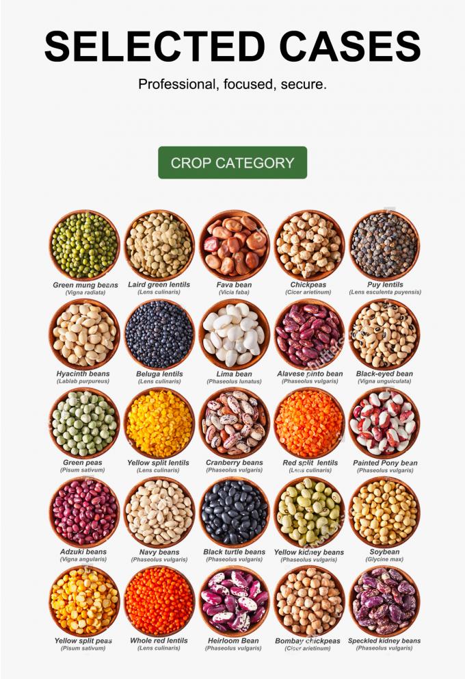 WENYAO Paramètres Réglables de Tri à Grande Vitesse pour Trieurs Optiques de Lignes de Tri de Grains 8