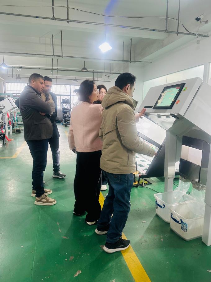 WENYAO machine de tri optique de couleurs pour le sel 9