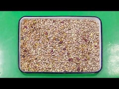 High Capacity Broad Kidney Beans Color Sorter with RGB CCD camera