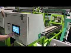 machine de sélection des couleurs pour l'ail