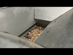 Machine de tri des noix de bougie ligne de traitement des noix de bougie Sorteur de couleur de bonne qualité pour les noix de bougie