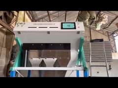 graines oléagineuses