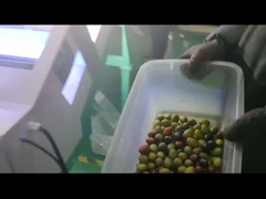 sélecteur de couleurs d'olive