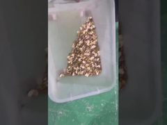 tri des couleurs de pistache type de ceinture tri des couleurs