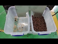 le tri des couleurs sacha inchi