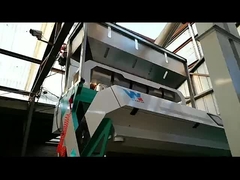 Trier les couleurs des haricots