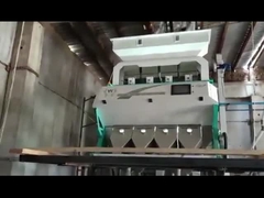 Sorteur de couleurs de haricot rouge