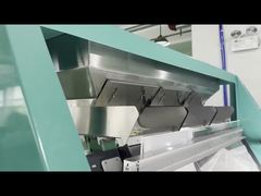 Trieur de couleur pour haricots blancs