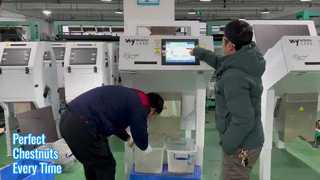 Sorteur de couleur châtaignier