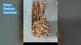 Trieur de couleur châtaigne pour noix